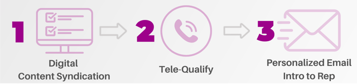 sales ready leads sales ready leads