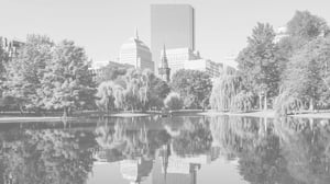 public sector